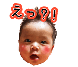405175248