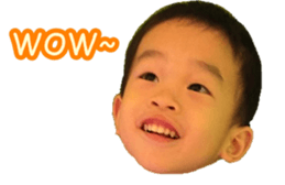 40518144
