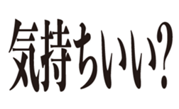 405181628