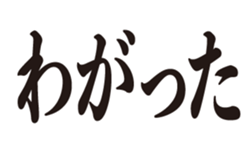 405181641