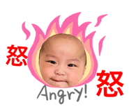 405194429