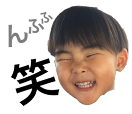 40519963