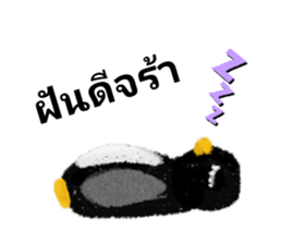 405201533