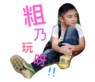 40520477