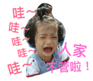 40520486
