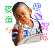 40520488