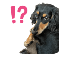 405219773
