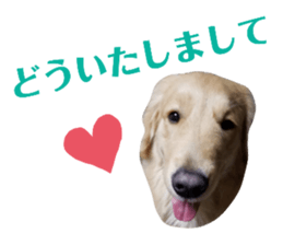 405238358