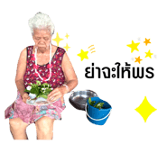 405276027