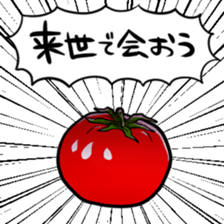 405302111
