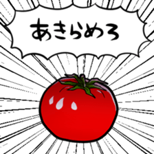 405302125
