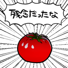 405302136