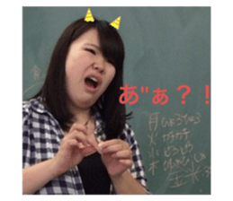 405311644