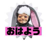 405327626