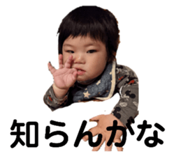 405330228