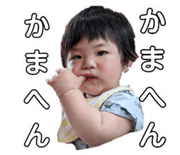 405330229