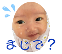 405336368