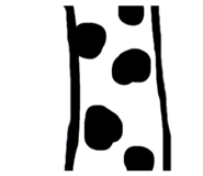 405336957
