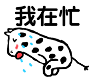 405336970