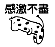 405336975