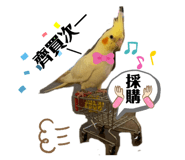 405338896