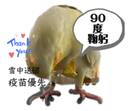 405338908