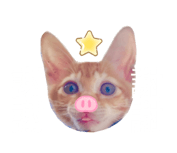 405349625