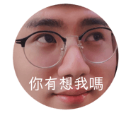 405355877