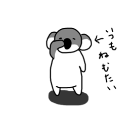 405366997
