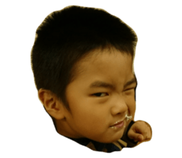 405390075