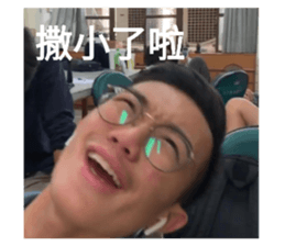 405502977