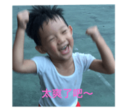 40553532