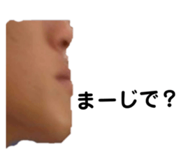 405570454
