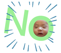 405590535