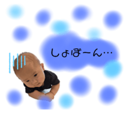 405590570