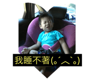 40562260