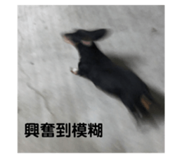 405624034