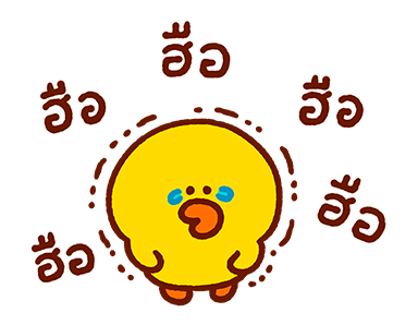 ลายที่ 23