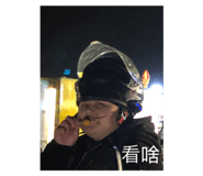 405686610