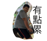 405686619