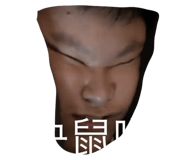 405686637