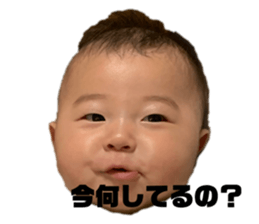 405691403