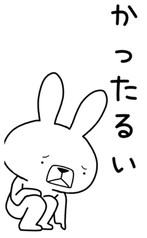 405720253