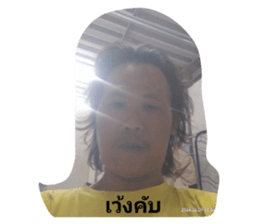 405773635