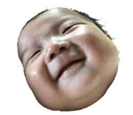 405873781