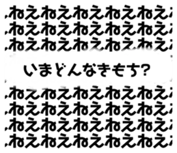 405902027