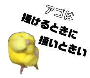 405908382