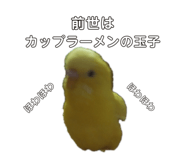 405908391