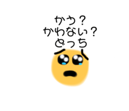 405908644