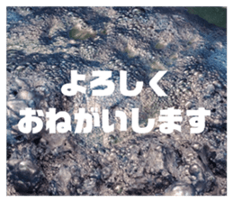 405928835